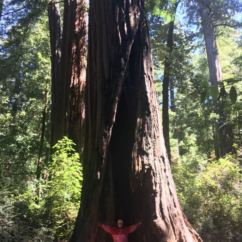 Meet your Posher, Hillary